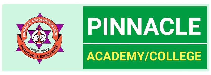 PINNACLE ACADEMY